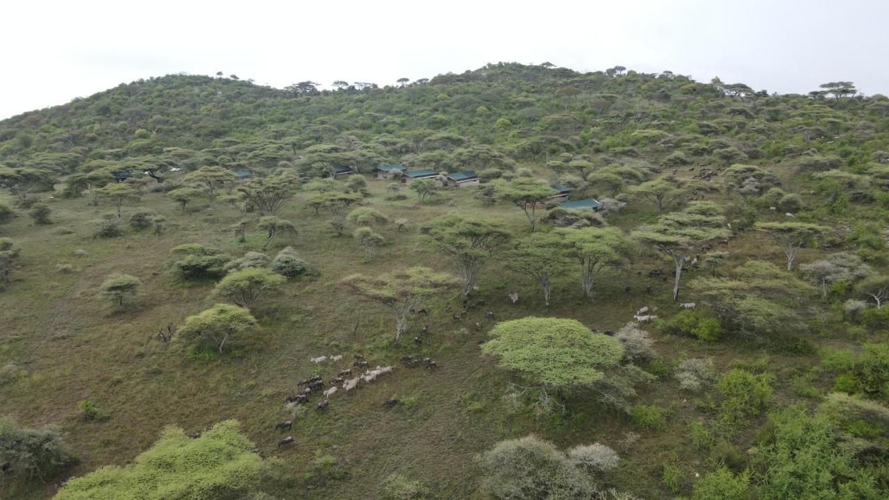 Serengeti Woodlands Camp Exterior photo